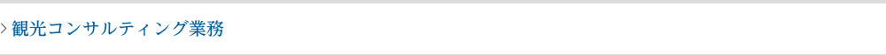 観光コンサルティング業務